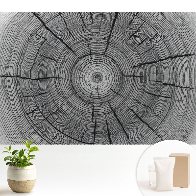 Tapeta Symetrické zloženie drevených kruhov