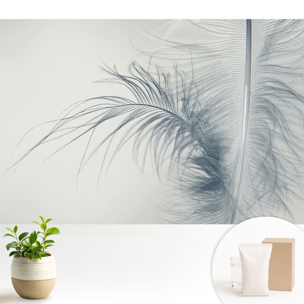 Luxusná tapeta Jemný motív pierok, ľahkosť a harmónia