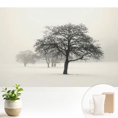 Tapeta s motívom stromov v hmle v zimnej krajine