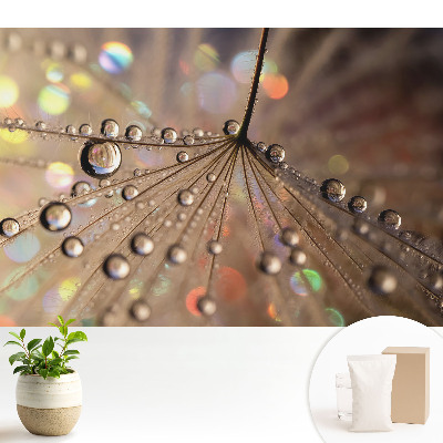 Tapeta s jemnou štruktúrou kvapiek roztrúsených na pozadí