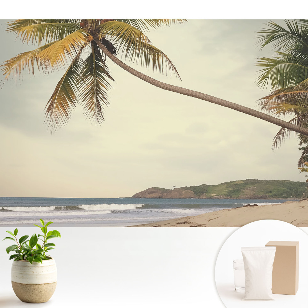 Luxusná tapeta Palma a exotická pláž