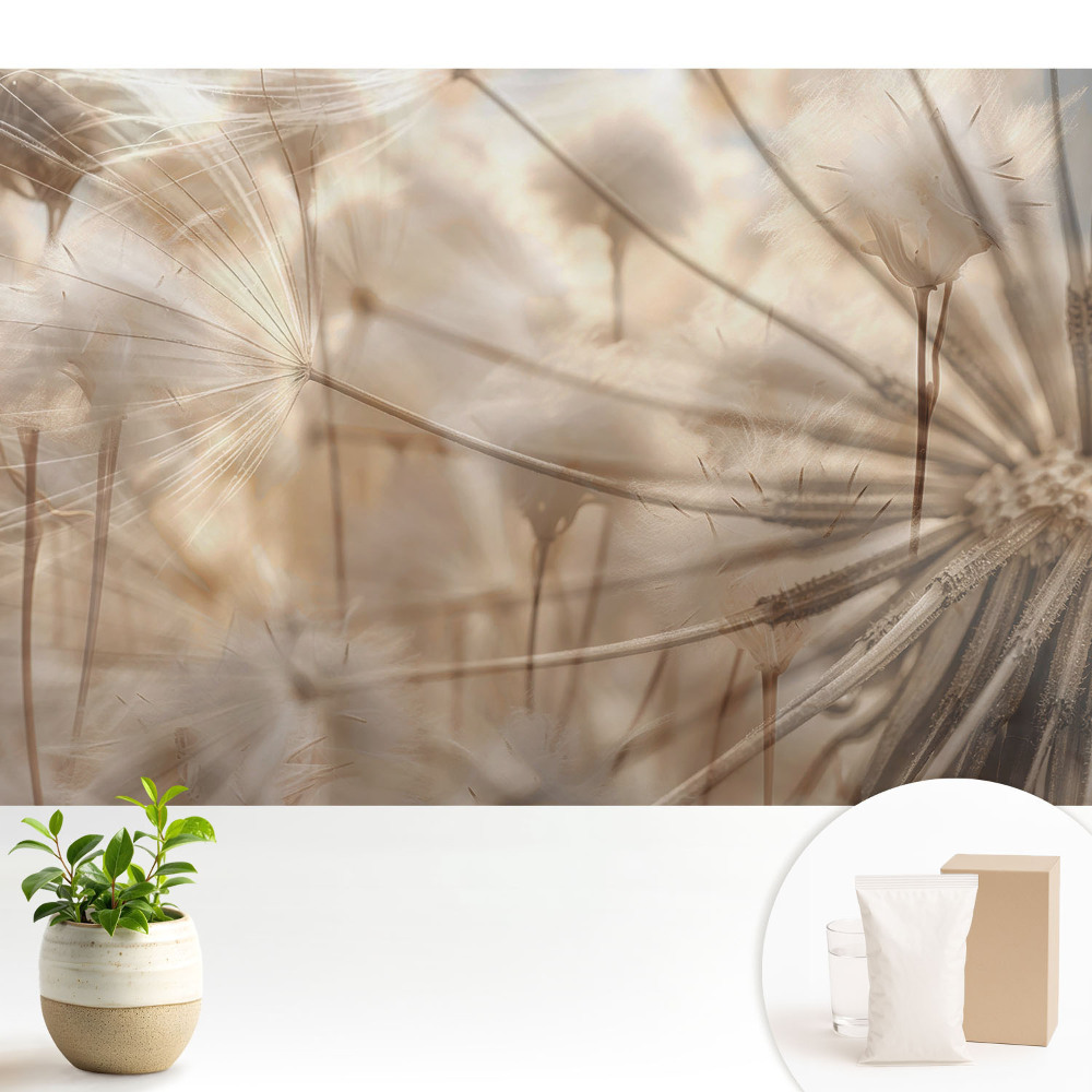 Luxusná tapeta Éterické púpavy, harmónia prírody