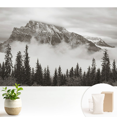 Tapeta s motívom horskej krajiny obklopenej hmlou do obývačky