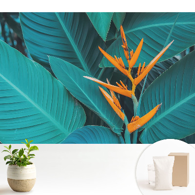 Tapeta s motívom exotických rastlín