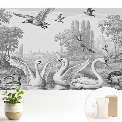 Tapeta na stenu Romantická krajina s labuťami