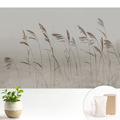 Tapeta s motívom jemných stebiel trávy v hmlistej aure