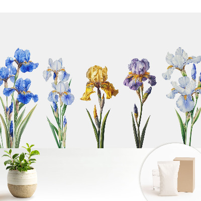 Tapeta do obývačky s farebnými kvetmi kosačníc na bielom pozadí