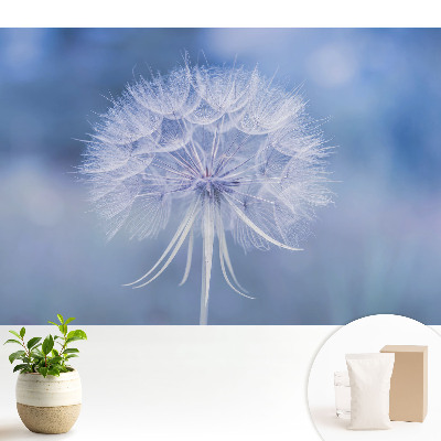 Tapeta do obývačky s motívom púpavy v modrých tónoch