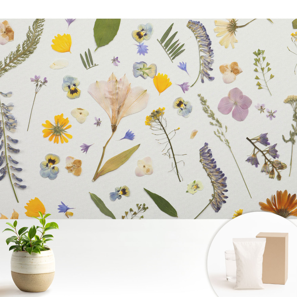 Tapeta na stenu Sušené kvety na bielom plátne