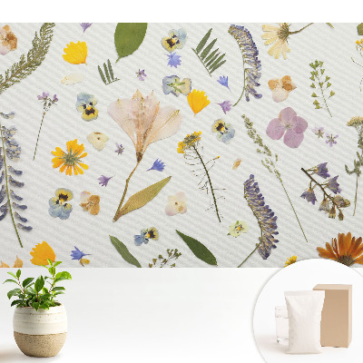 Tapeta na stenu Sušené kvety na bielom plátne