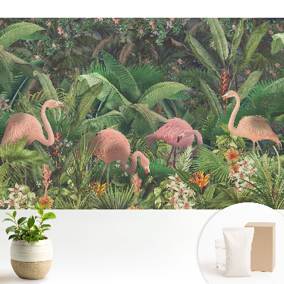 Tapeta na stenu Tropická exotika plameniakov