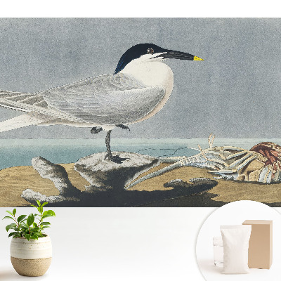 Luxusná tapeta Elegantný vták na pozadí mora