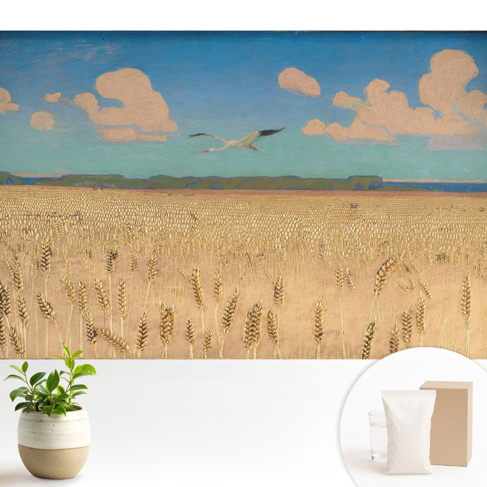 Tapeta na stenu Pšeničné pole pod oblohou