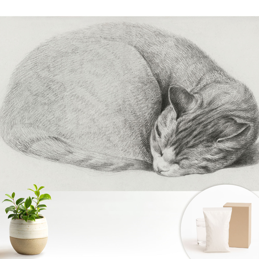 Luxusná tapeta Realistická kresba spiacej mačky