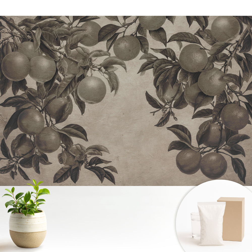 Tapeta do obývačky Monochromatické retro ovocné listy vinobranie