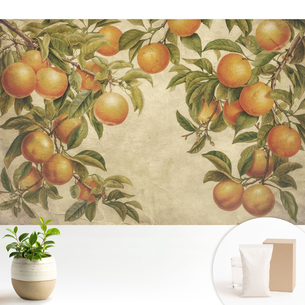 Tapeta na stenu Jemné konáre plné citrusových plodov