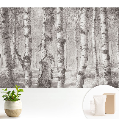 Tapeta s motívom brezy v klasickom lese