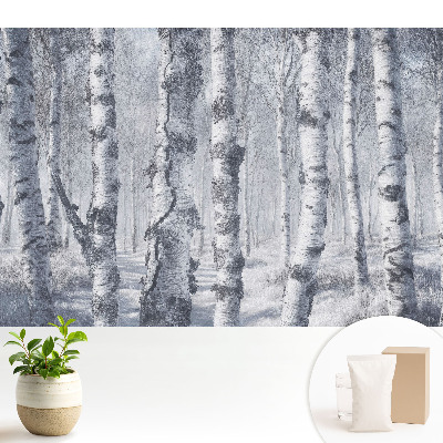 Tapeta do obývačky Zimný brezový les