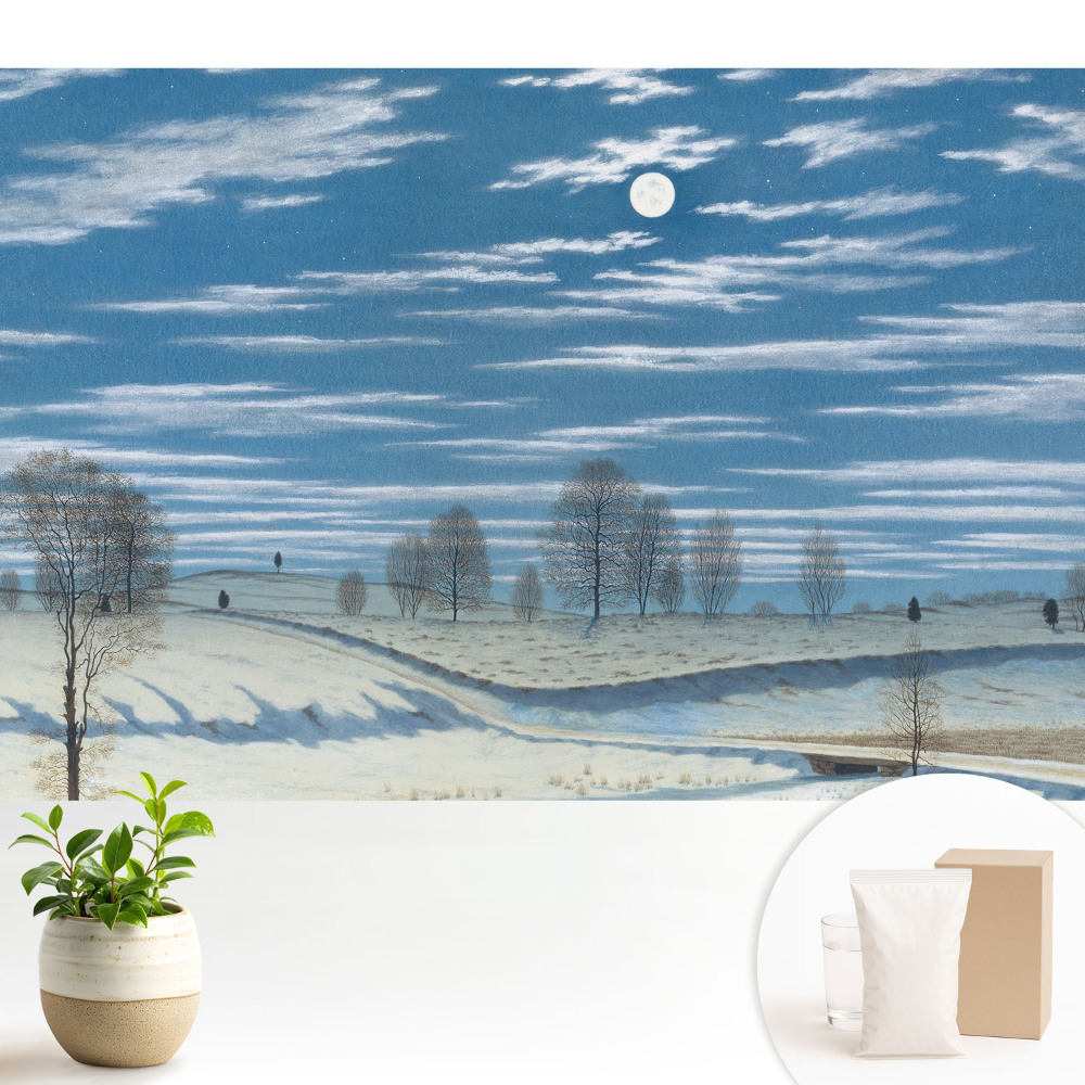 Tapeta Náladová zimná krajina pod mesiacom