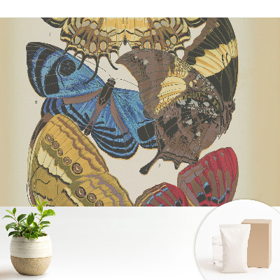 Tapeta na stenu Farebné motýle v elegantnej kompozícii