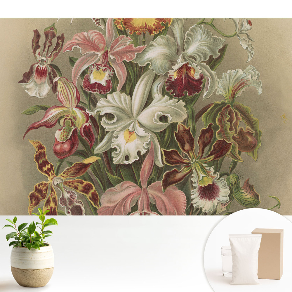 Luxusná tapeta Harmónia prírody s exotickými kvetmi