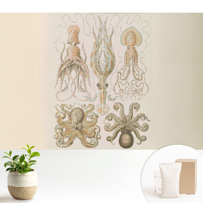 Tapeta na stenu Harmónia detailov morských hlavonožcov