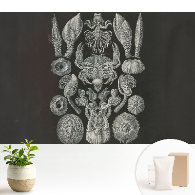 Luxusná tapeta Umelecké rytie morských organizmov