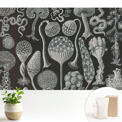 Tapeta s motívom organických čiernych a bielych foriem