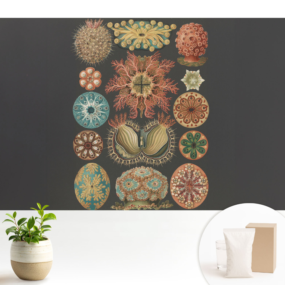 Tapeta na stenu Abstraktné morské tvary v klasickom štýle