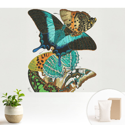 Tapeta Farebné motýle klasická harmonická kompozícia