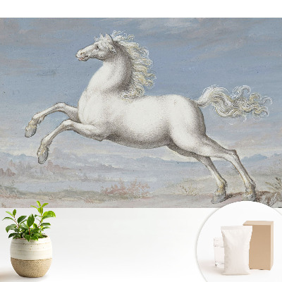 Tapeta na stenu s motívom bieleho koňa v dynamickom skoku
