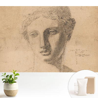 Tapeta do obývačky s klasickou grafikou ženskej tváre