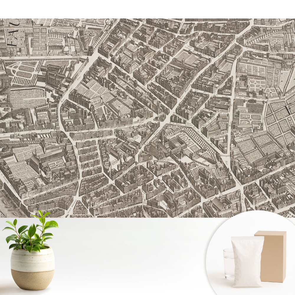Tapeta Klasická mapa mesta