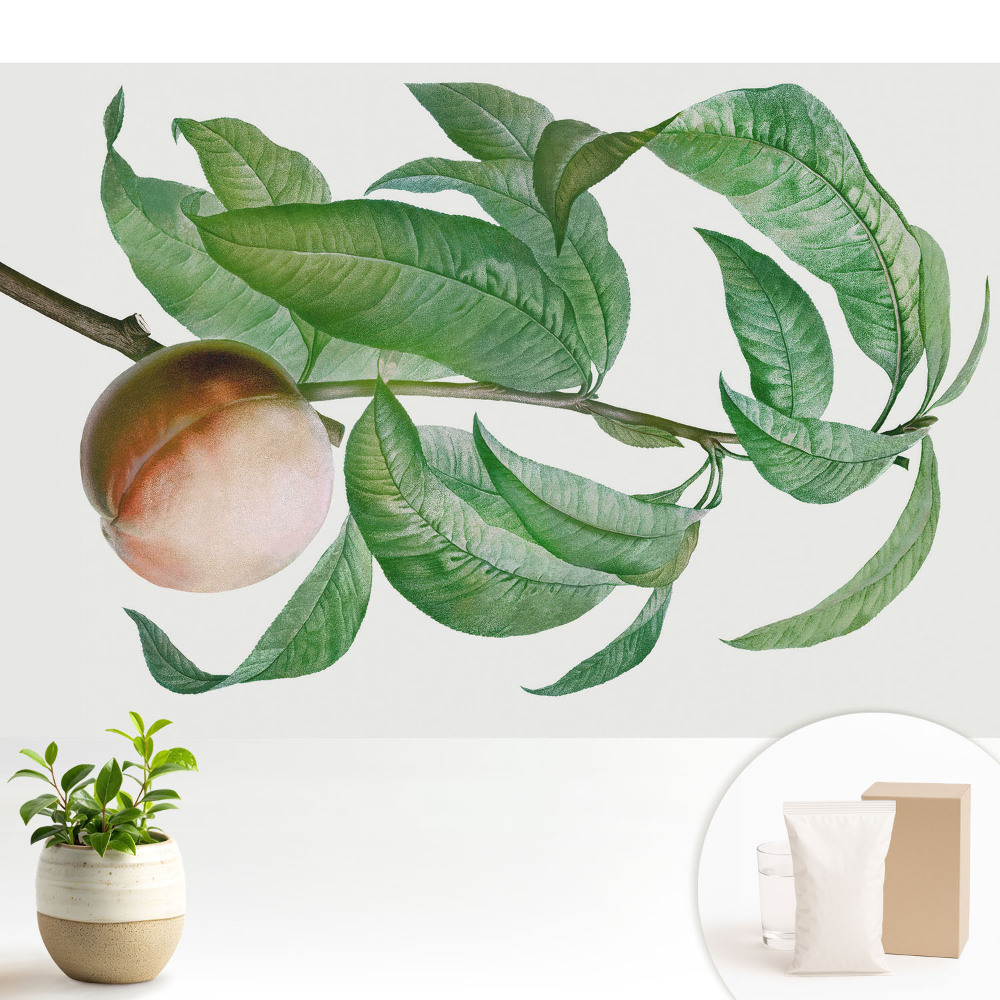 Tapeta do obývačky Broskyňa a listy v klasickom štýle