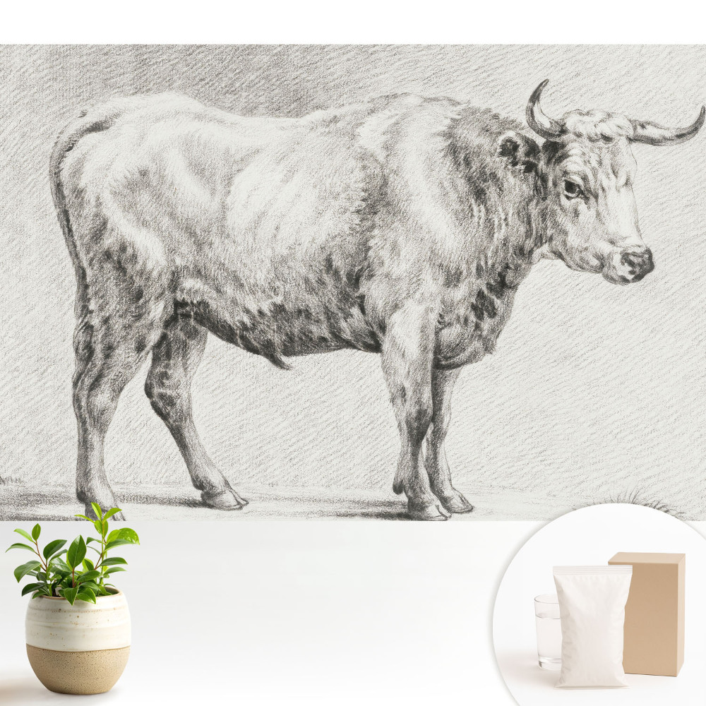 Tapeta Klasická grafika zvierat