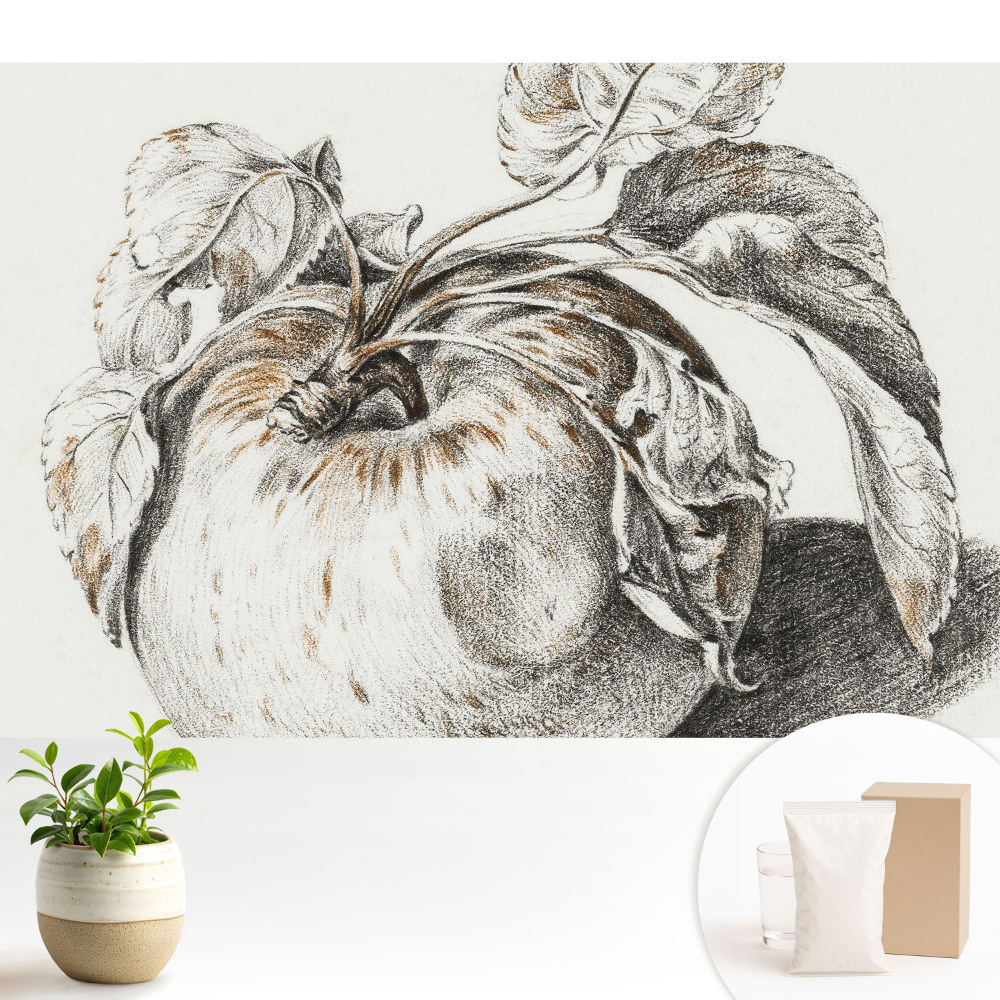 Tapeta do obývačky Jablko v klasickom zložení