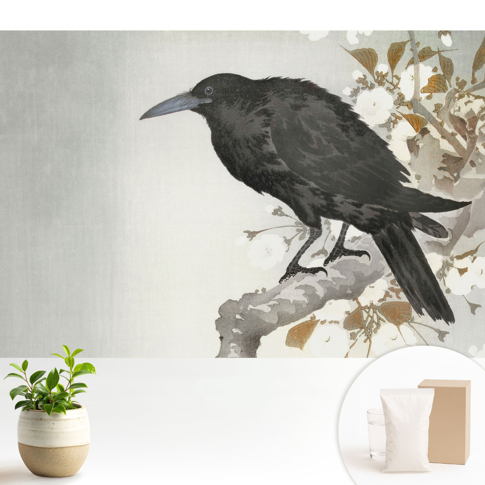 Luxusná tapeta Jemný havran na pozadí kvitnúcich konárov