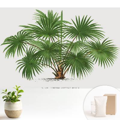 Luxusná tapeta so symetrickým motívom zelenej palmy