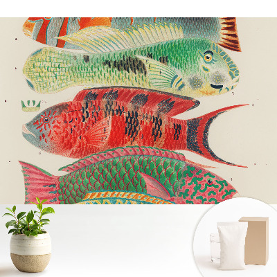 Tapeta do obývačky Farebné ryby ilustrované v klasickom štýle