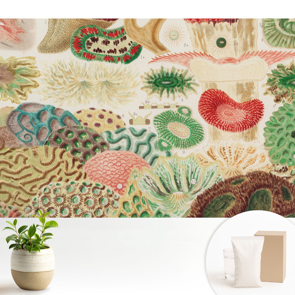 Tapeta na stenu Abstraktné organické motívy a štruktúry