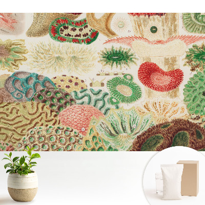 Tapeta na stenu Abstraktné organické motívy a štruktúry