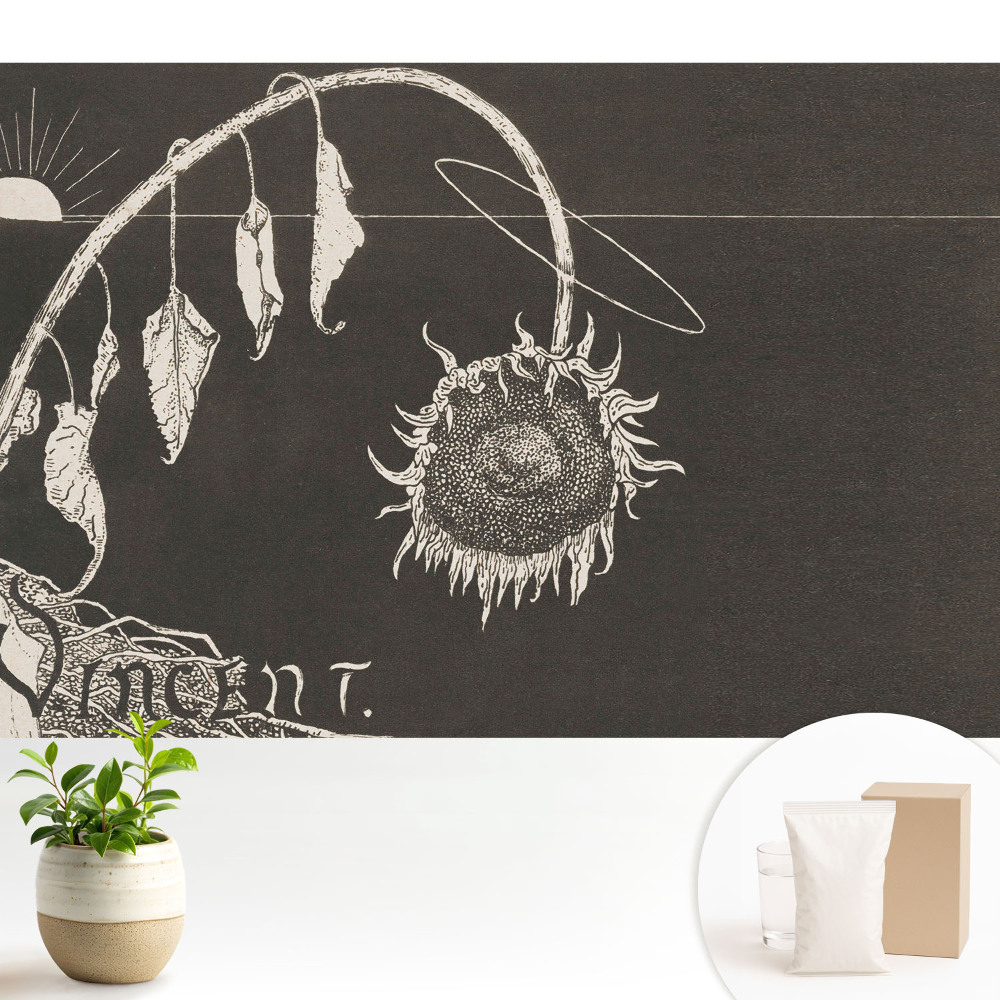 Tapeta do obývačky Zvädnuté slnečnice nostalgické vinobranie