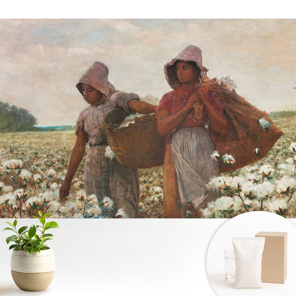 Luxusná tapeta Rustikálne bavlníkové pole