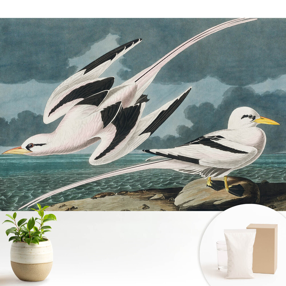 Tapeta do obývačky Klasický obraz vtákov na brehu
