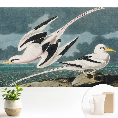 Tapeta do obývačky Klasický obraz vtákov na brehu