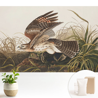Tapeta na stenu s motívom vtáka v lete medzi trávou