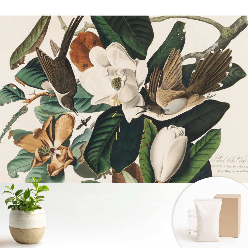 Luxusná tapeta Magnólie a vtáky v klasickej harmónii