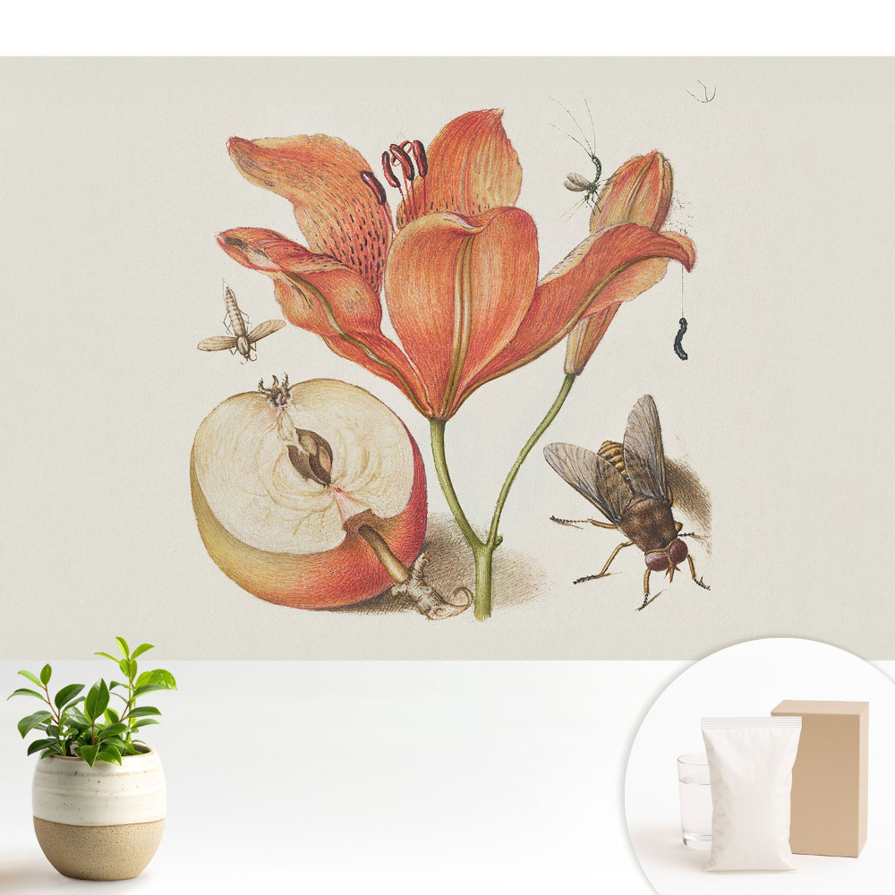 Tapeta Kvety, hmyz, ovocie, harmónia prírody