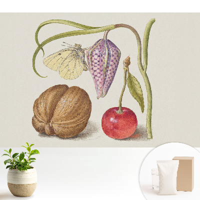 Tapeta do obývačky s motívom motýľa sedieťeho na kvetnom liste a plode