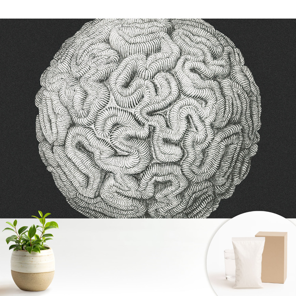 Tapeta Monochromatická sférická harmonická štruktúra